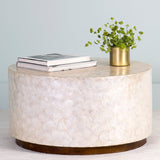 Tasi Coffee Table