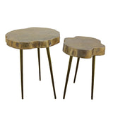 Willow Organic Tree Ring Side Tables, Set of 2